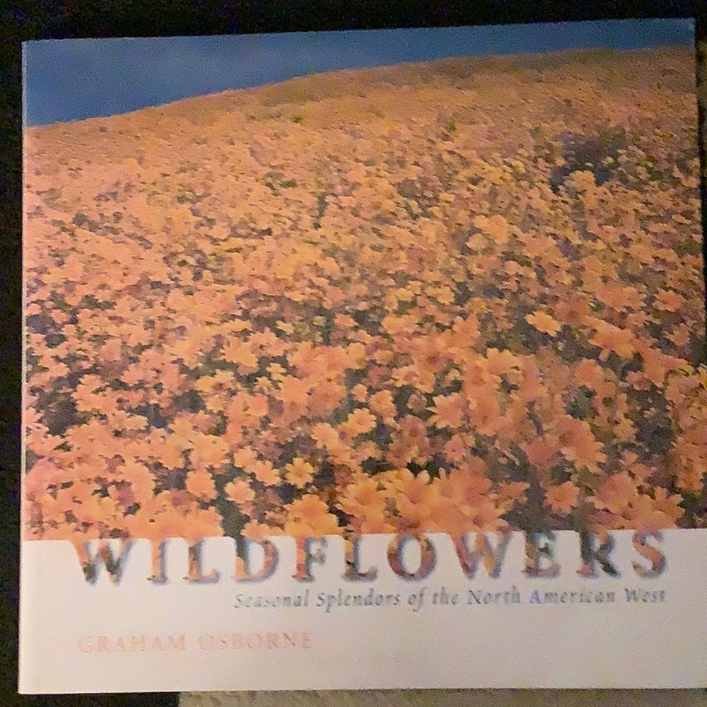 BOOK: Wildflowers by Graham Osborne